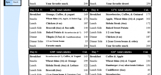 1 Day Meal Plan For 900 Calorie Diet