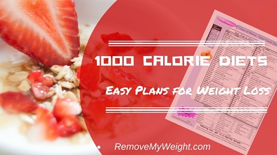 1000 Calorie Diet And Success Stories