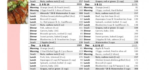 17 Day Diet Meal Plan Food List