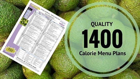 1100 Calories A Day To Lose Weight