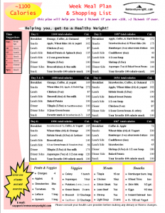 1100 Calories a day