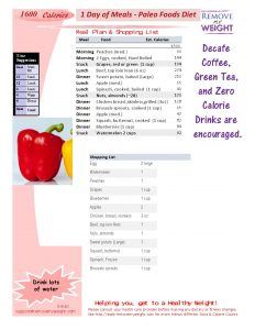 1600 Calorie Diet 1 Day Plan of Paleo Foods for Weight Loss