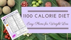 1100 Calorie Diet Plans