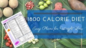 1800 Calorie Diet
