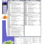 1100 Calorie, 5 day Diet andMenu Plan Paleo Foods