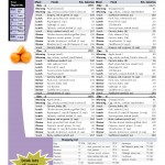 1100 Calorie, family of 5, 6 day Diet and Menu Plan Paleo Foods
