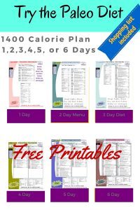 Paleo Diet 1-6 Day Meal Plans 1300 Calories a day