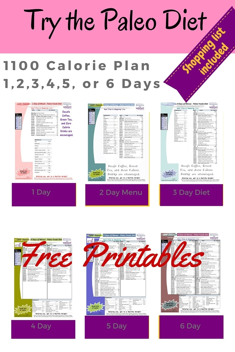 Paleo Diet 1-6 Day Meal Plans 1100 Calories a day