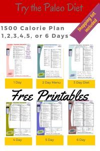 1500 Calorie Diet Paleo Foods Plans