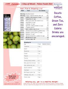 Paleo Diet Printable 1 Day 1400 Calories a day Menu