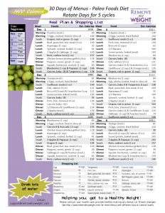 Paleo Diet Printable 30 Day 1400 Calories a day Menu