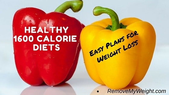 Eat 1600 Calories A Day to Lose Weight