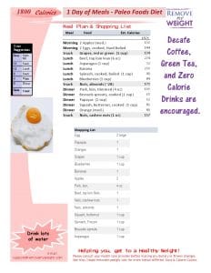1 Day 1800 Calorie Paleo Diet Meal Plan Free Download