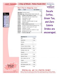 Printable 1 Day Meal Plan 1200 Calories a day Paleo Diet